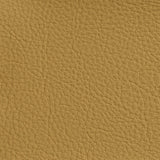 Charlotte - 7170 - Wheat - Fabric by the Yard