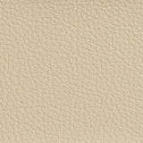 Charlotte - 7175 - Ivory - Fabric by the Yard