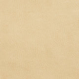 Charlotte - 7277 - Parchment - Fabric by the Yard