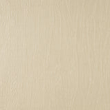 Charlotte - 7378 - Vanilla - Fabric by the Yard