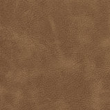 Charlotte - 7415 - Latte - Fabric by the Yard
