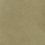 Charlotte - 7439 - Moss - Fabric by the Yard