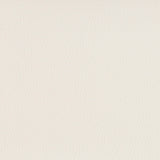 Charlotte - 7590 - White - Fabric by the Yard