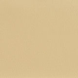 Charlotte - 7594 - Ecru - Fabric by the Yard