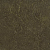 Charlotte - 7624 - Moss - Fabric by the Yard