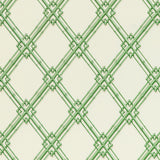 BRUNSCHWIG & FILS - LE BAMBOU PRINT- GREEN - Fabric by the Yard