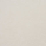 Charlotte - 8096 - Ivory - Fabric by the Yard