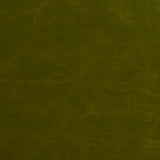Charlotte - 8252 - Fern - Fabric by the Yard