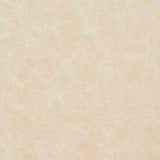 Charlotte - 8288 - Oyster - Fabric by the Yard