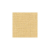 KRAVET BASICS - KRAVET BASICS- 8656-116 - Fabric by the Yard