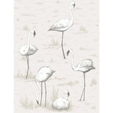 COLE & SON - FLAMINGOS- CHARCOAL/WHT - Wallcovering by the Roll