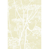 COLE & SON - COW PARSLEY- STRAW/WHITE - Wallcovering by the Roll