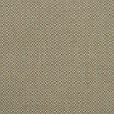 KRAVET COUTURE - BIRCH- AUTUMN - Fabric by the Yard