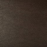 KRAVET DESIGN - KRAVET DESIGN- BEHOLDER-6 - Fabric by the Yard