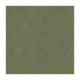 KRAVET CONTRACT - KRAVET CONTRACT- BELUS-11 - Fabric by the Yard