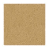 KRAVET CONTRACT - KRAVET CONTRACT- BELUS-1616 - Fabric by the Yard