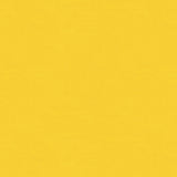 BRUNSCHWIG & FILS - NINON TAFFETAS- JAUNE - Fabric by the Yard