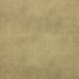 KRAVET DESIGN - KRAVET DESIGN- CASWELL-16 - Fabric by the Yard