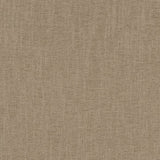 Charlotte - CB600-154 - Fabric by the Yard