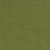 Charlotte - CB600-186 - Fabric by the Yard