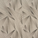 Charlotte - CB700-250 - Fabric by the Yard