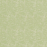 Charlotte - CB700-300 - Fabric by the Yard