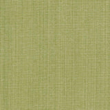 Charlotte - CB700-316 - Fabric by the Yard