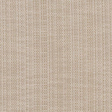 Charlotte - CB700-359 - Fabric by the Yard