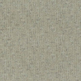 Charlotte - CB700-494 - Fabric by the Yard