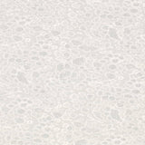 Charlotte - CB700-586 - Fabric by the Yard