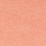 Charlotte - CB700-611 - Fabric by the Yard