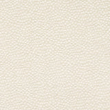 Charlotte - CB700-612 - Fabric by the Yard