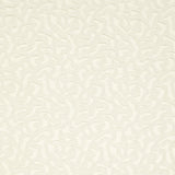 Charlotte - CB800-08 - Fabric by the Yard