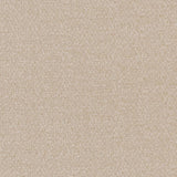 Charlotte - CB800-209 - Fabric by the Yard