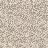 Charlotte - CB800-220 - Fabric by the Yard