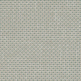 Charlotte - CB800-258 - Fabric by the Yard