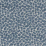 Charlotte - CB800-262 - Fabric by the Yard