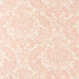 Charlotte - CB800-317 - Fabric by the Yard