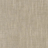 Charlotte - CB800-374 - Fabric by the Yard