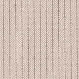 Charlotte - CB800-498 - Fabric by the Yard