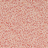 Charlotte - CB800-504 - Fabric by the Yard