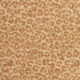 Charlotte - CB900-145 - Fabric by the Yard