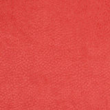 Charlotte - CB900-14 - Fabric by the Yard