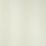Charlotte - CB900-198 - Fabric by the Yard