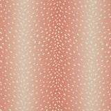 Charlotte - CB900-203 - Fabric by the Yard