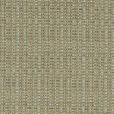 Charlotte - CB900-42 - Fabric by the Yard