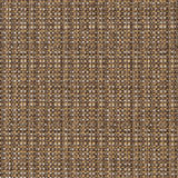Charlotte - CB900-55 - Fabric by the Yard
