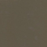 Maxwell - CATALYST-NJ - FUNGI - Fabric by the Yard