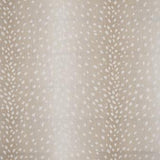 Maxwell - CHITAL - ECRU - Fabric by the Yard