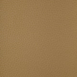 KRAVET DESIGN - KRAVET DESIGN- CONNECT-106 - Fabric by the Yard